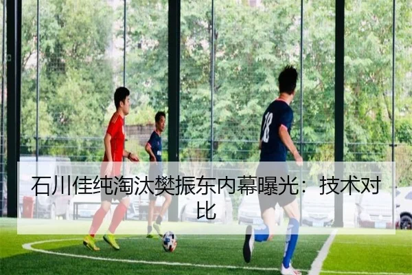 石川佳纯淘汰樊振东内幕曝光：技术对比 | ued-sports